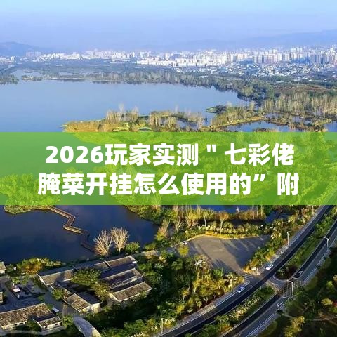 2026玩家实测＂七彩佬腌菜开挂怎么使用的”附开挂脚本详细教程