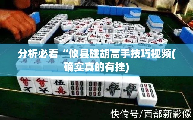 分析必看“攸县碰胡高手技巧视频(确实真的有挂)