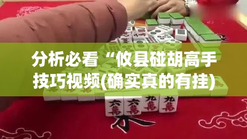 分析必看“攸县碰胡高手技巧视频(确实真的有挂) 分析必看“攸县碰胡高手技巧视频(确实真的有挂)