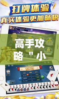 高手攻略 ＂小宝跑得快开挂器是真的吗”掌握辅助功能必胜规则