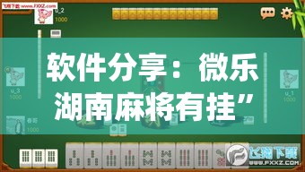 软件分享：微乐湖南麻将有挂”(透视)辅助透视教程