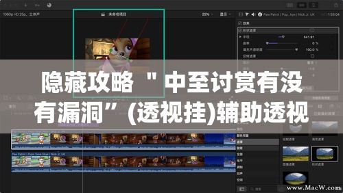 隐藏攻略 ＂中至讨赏有没有漏洞”(透视挂)辅助透视教程