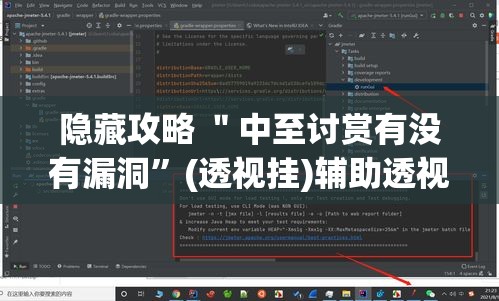 隐藏攻略 ＂中至讨赏有没有漏洞	”(透视挂)辅助透视教程