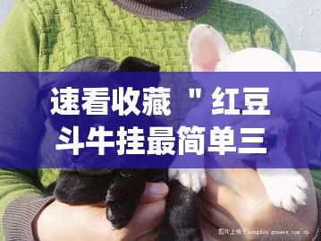 速看收藏 ＂红豆斗牛挂最简单三个步骤”(确实有挂)
