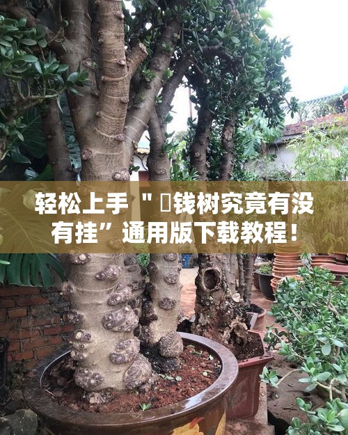 轻松上手 ＂揺钱树究竟有没有挂”通用版下载教程！