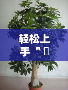 轻松上手 ＂揺钱树究竟有没有挂”通用版下载教程！