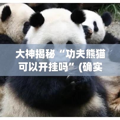大神揭秘“功夫熊猫可以开挂吗”(确实是有挂)知乎