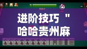 进阶技巧 ＂哈哈贵州麻将开挂”详细开挂玩法