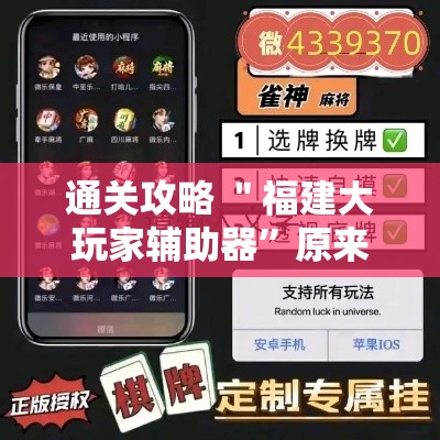 通关攻略 ＂福建大玩家辅助器	”原来有神器下载