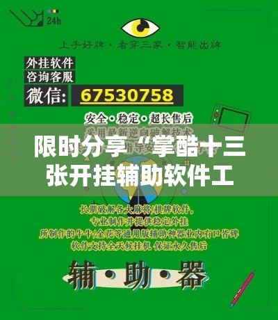 限时分享“掌酷十三张开挂辅助软件工具”附透视挂详细教程