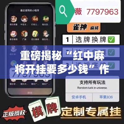 重磅揭秘“红中麻将开挂要多少钱”作弊挂(辅助外挂+