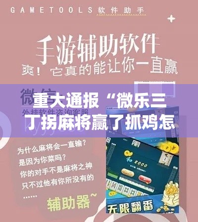 重大通报“微乐三丁拐麻将赢了抓鸡怎么算的	”作弊挂(辅助外挂+教程)