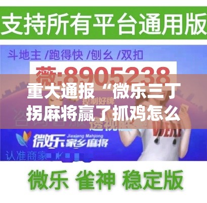 重大通报“微乐三丁拐麻将赢了抓鸡怎么算的”作弊挂(辅助外挂+教程)
