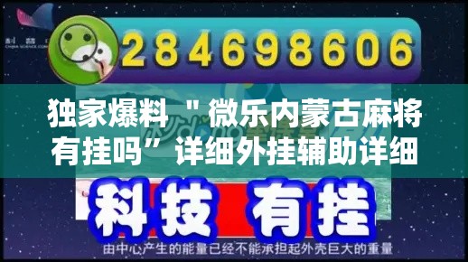 独家爆料 ＂微乐内蒙古麻将有挂吗”详细外挂辅助详细教程