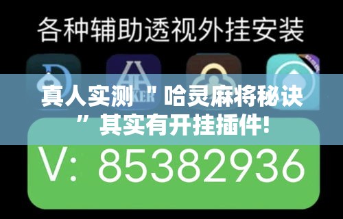 真人实测 ＂哈灵麻将秘诀	”其实有开挂插件!