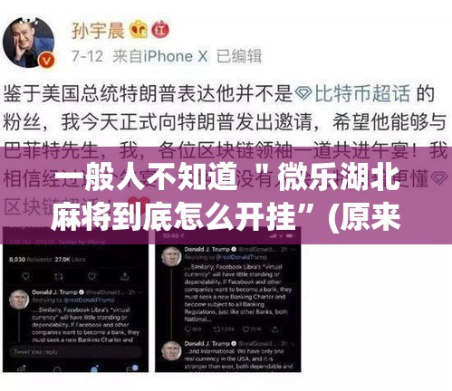 一般人不知道 ＂微乐湖北麻将到底怎么开挂”(原来确实是有插件)