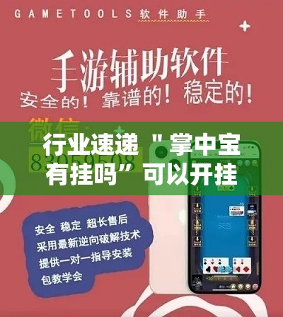 行业速递 ＂掌中宝有挂吗	”可以开挂作弊