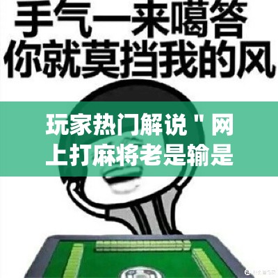 玩家热门解说＂网上打麻将老是输是什么原因”(原来确实是有插件)