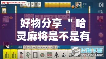 好物分享 ＂哈灵麻将是不是有挂	”详细辅助教程分享