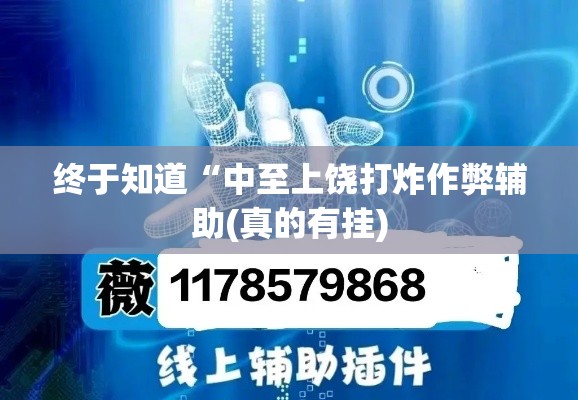 终于知道“中至上饶打炸作弊辅助(真的有挂)