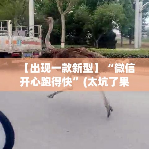 【出现一款新型】“微信开心跑得快”(太坑了果然有挂)