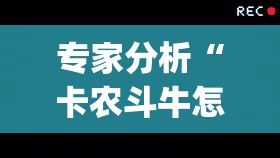 专家分析“卡农斗牛怎么抓到好牌最简单方法”(详细透视教程)