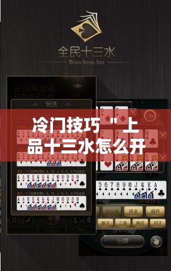 冷门技巧 ＂上品十三水怎么开挂”附透视挂详细教程