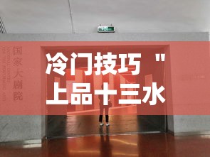 冷门技巧 ＂上品十三水怎么开挂	”附透视挂详细教程