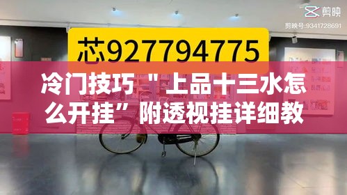 冷门技巧 ＂上品十三水怎么开挂”附透视挂详细教程