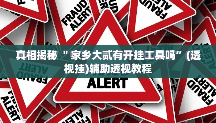 真相揭秘 ＂家乡大贰有开挂工具吗	”(透视挂)辅助透视教程