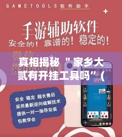 真相揭秘 ＂家乡大贰有开挂工具吗”(透视挂)辅助透视教程