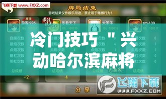 冷门技巧 ＂兴动哈尔滨麻将透宝挂”辅助挂下载