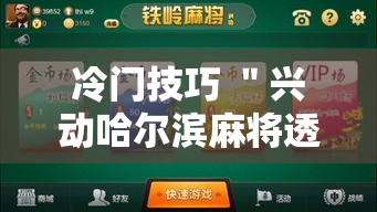 冷门技巧 ＂兴动哈尔滨麻将透宝挂”辅助挂下载