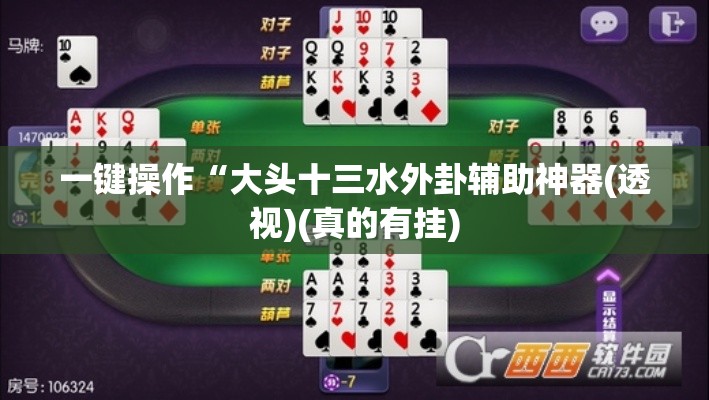 一键操作“大头十三水外卦辅助神器(透视)(真的有挂) 一键操作“大头十三水外卦辅助神器(透视)(真的有挂)