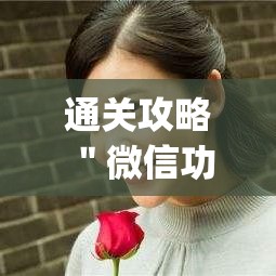 通关攻略 ＂微信功夫麻将买挂”(原来确实是有插件)