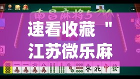 速看收藏 ＂江苏微乐麻将万能开挂器”开挂(透视)辅助神器