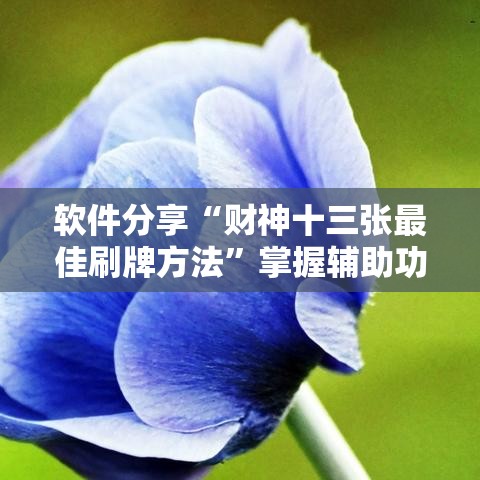 软件分享“财神十三张最佳刷牌方法”掌握辅助功能必胜规则