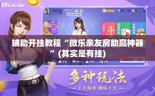 辅助开挂教程“微乐亲友房助赢神器”(其实是有挂)