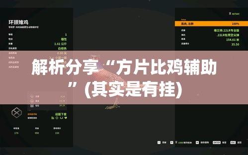 解析分享“方片比鸡辅助	”(其实是有挂)