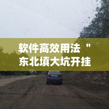 软件高效用法 ＂东北填大坑开挂是不是真的”(原来确实是有挂)
