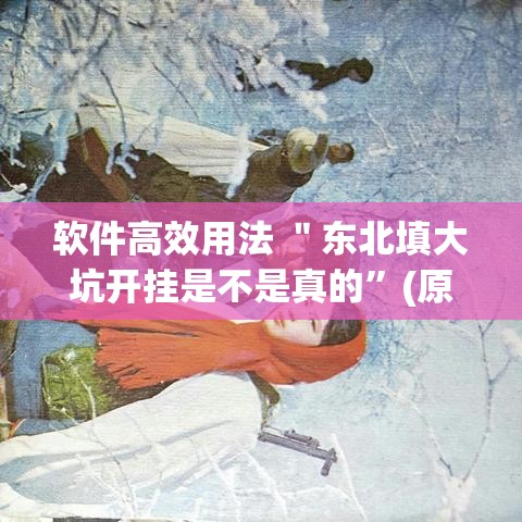 软件高效用法 ＂东北填大坑开挂是不是真的”(原来确实是有挂)