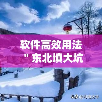 软件高效用法 ＂东北填大坑开挂是不是真的	”(原来确实是有挂)