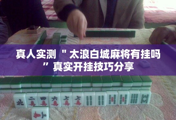 教程更新!“家乡大贰有没有人开挂”(透视)开挂详细教程