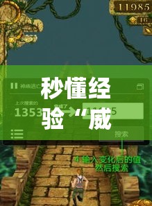 秒懂经验“威信茶馆开挂神器”(果然有透视挂)
