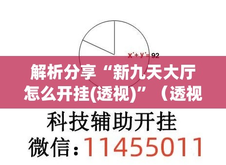解析分享“新九天大厅怎么开挂(透视)	”（透视挂）辅助神器教程