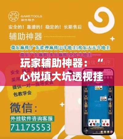 玩家辅助神器:“心悦填大坑透视挂是真的吗(辅助外挂+教程) 玩家辅助神器:“心悦填大坑透视挂是真的吗(辅助外挂+教程)