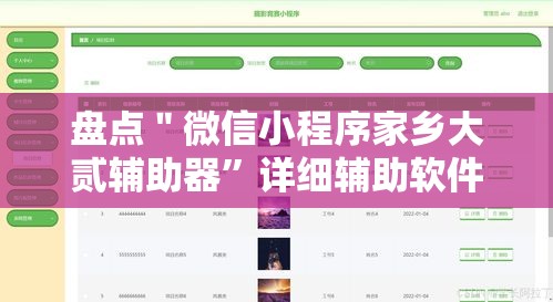 盘点＂微信小程序家乡大贰辅助器”详细辅助软件教程