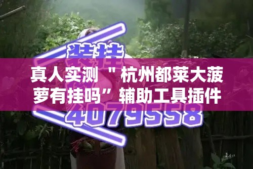 真人实测 ＂杭州都莱大菠萝有挂吗”辅助工具插件,揭秘技巧开挂