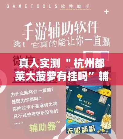 真人实测 ＂杭州都莱大菠萝有挂吗”辅助工具插件,揭秘技巧开挂