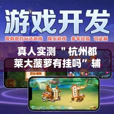 真人实测 ＂杭州都莱大菠萝有挂吗”辅助工具插件,揭秘技巧开挂